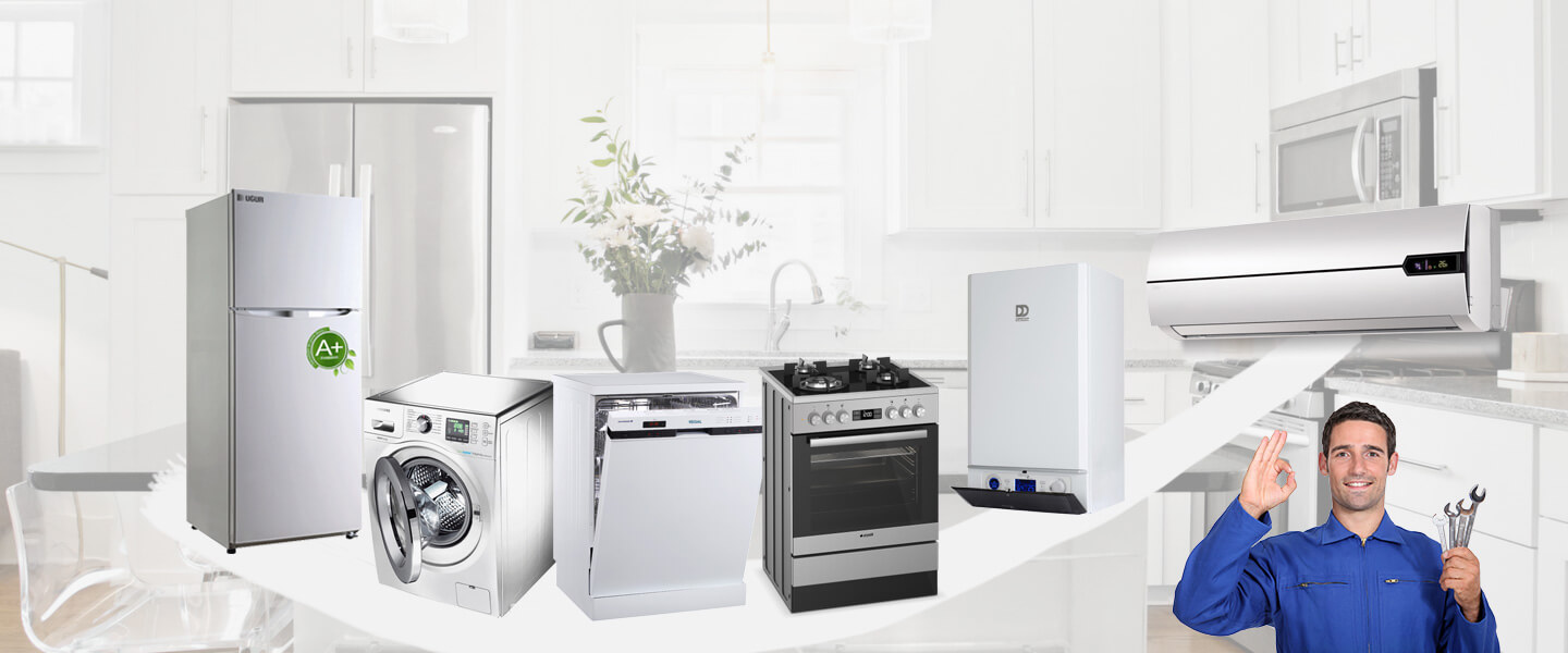 Çayırlı Warmhaus Servisi